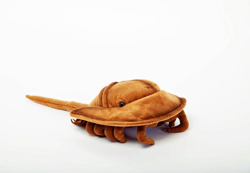 Horse Shoe Crab Stuffed Animal