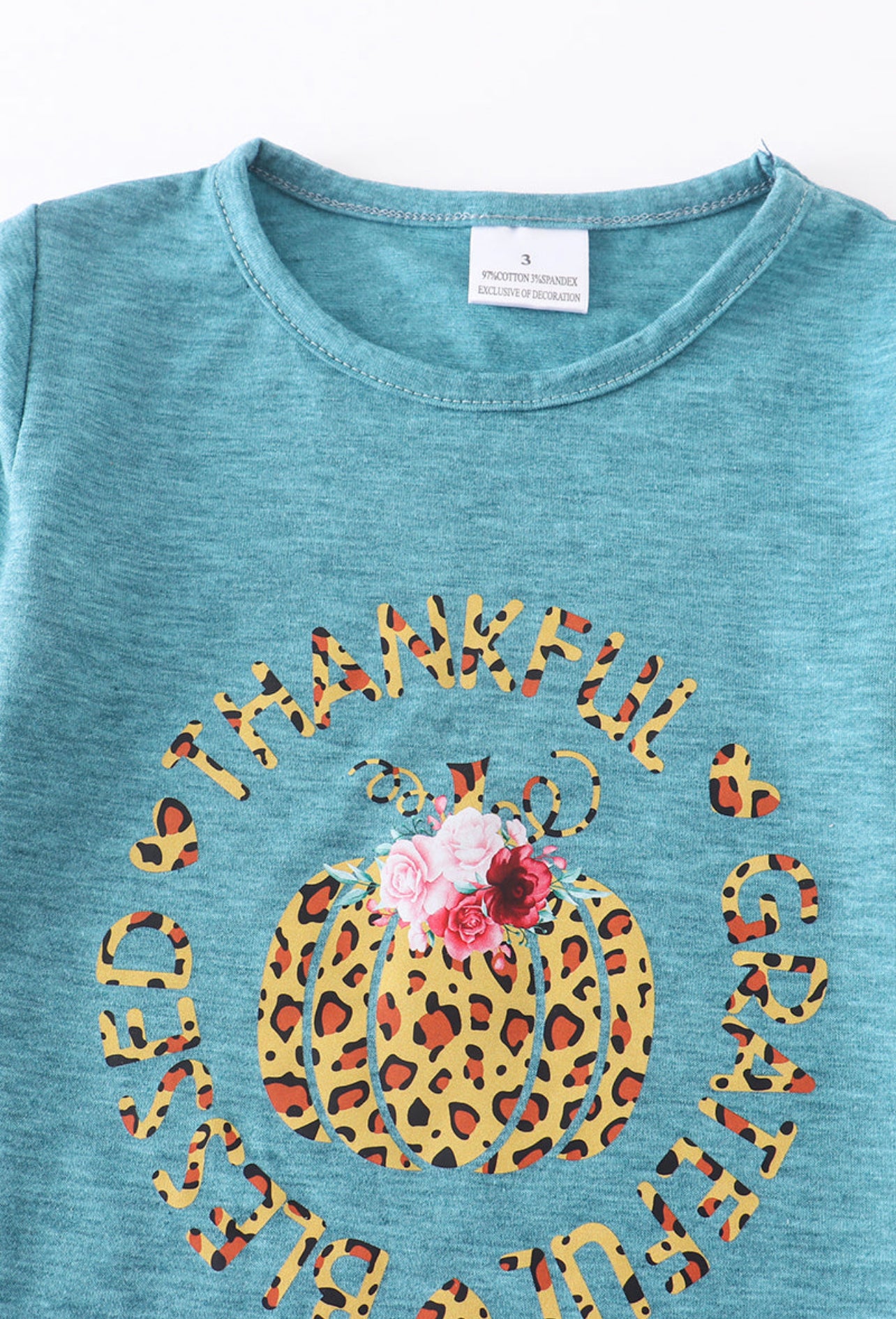 Teal Leopard Pumpkin Top