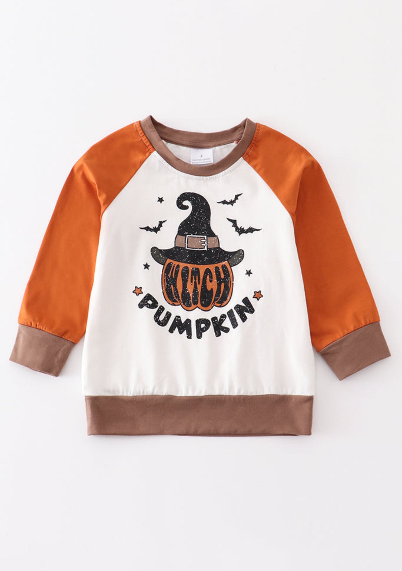 Halloween Witch Pumpkin Pullover