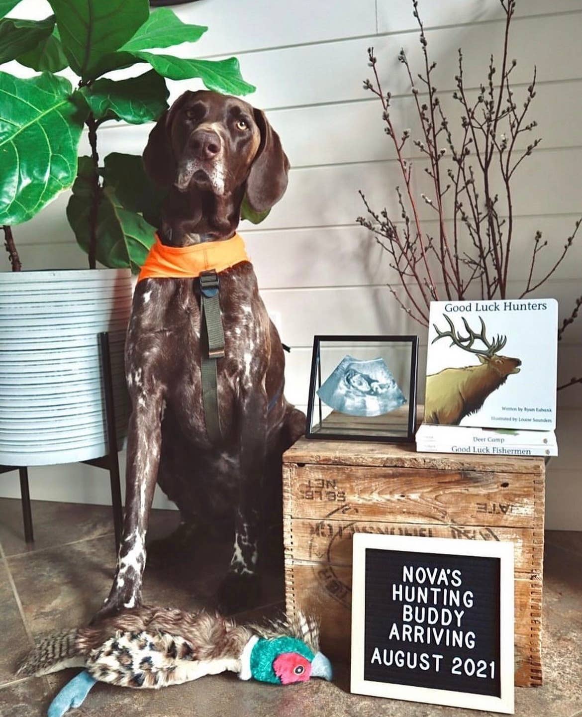 Good Luck Hunters Book