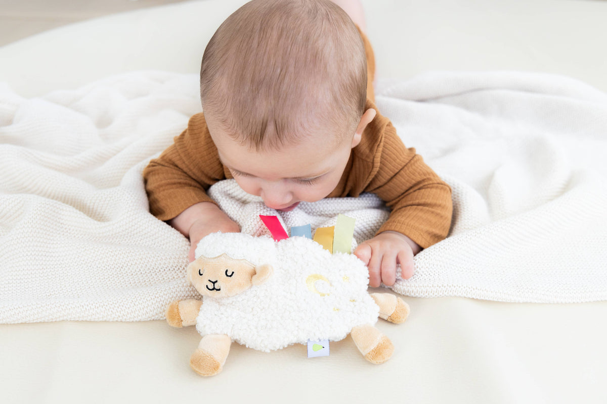 New Baby Gift Set