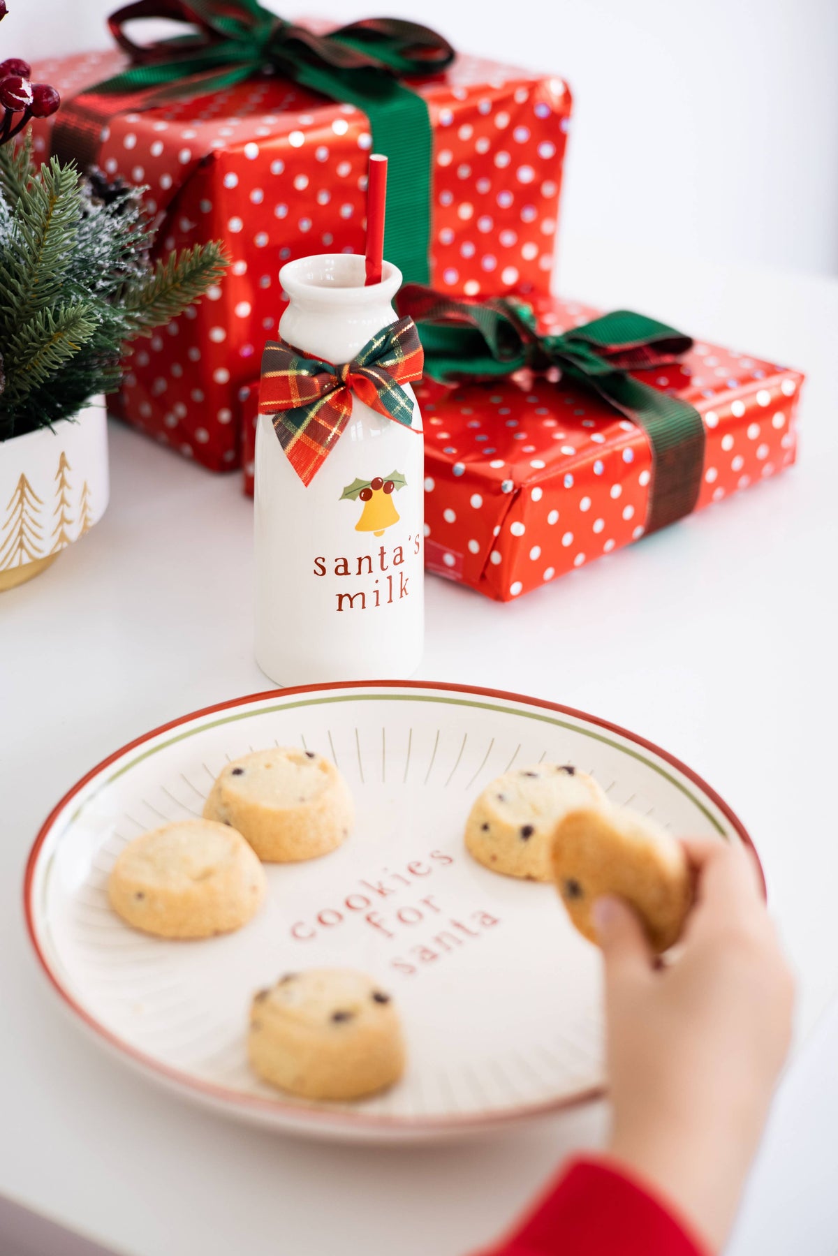 Cookies for Santa Plate Set