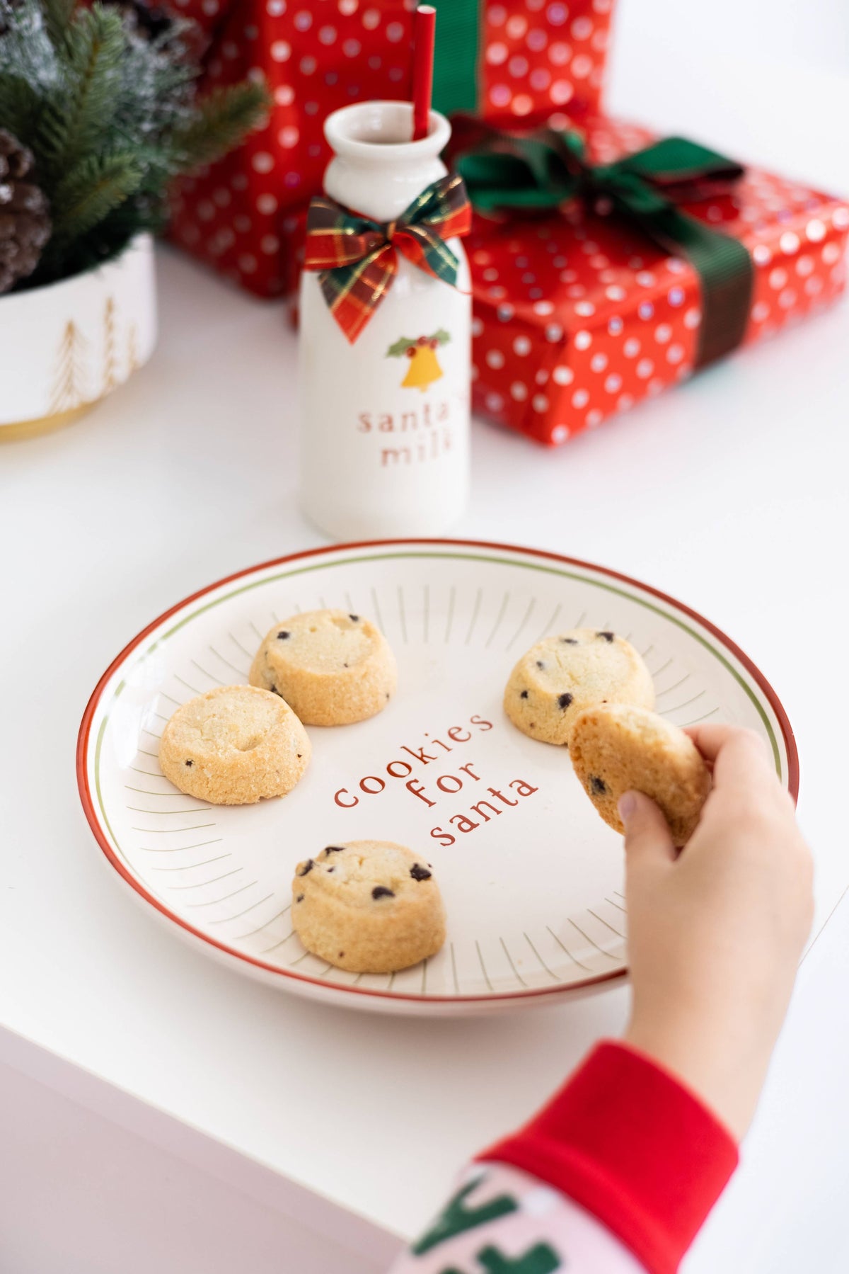 Cookies for Santa Plate Set