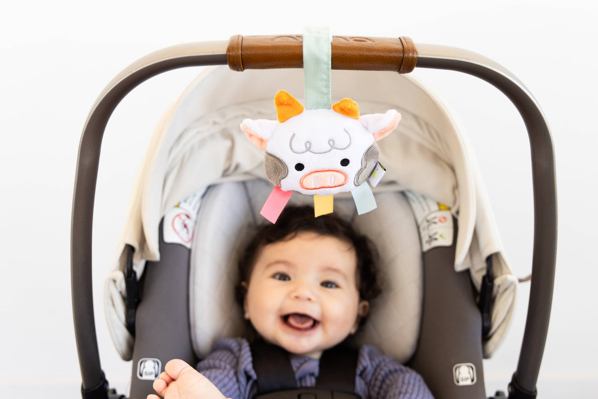 New Baby Gift Set
