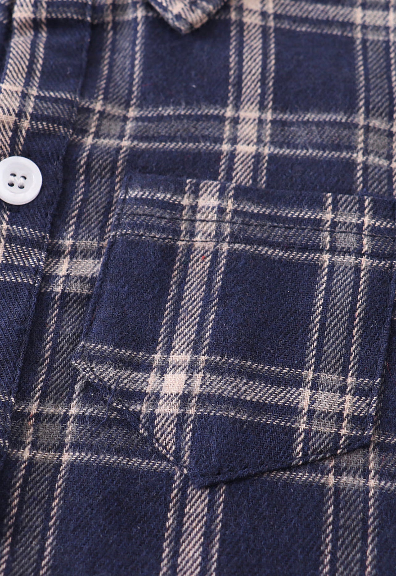 Indigo Plaid Button Down